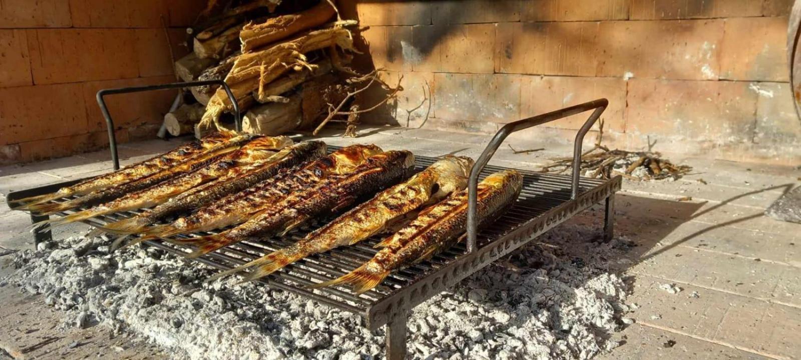 شقة Apartman Bojana ستاريغغاد باكلينتسا المظهر الخارجي الصورة