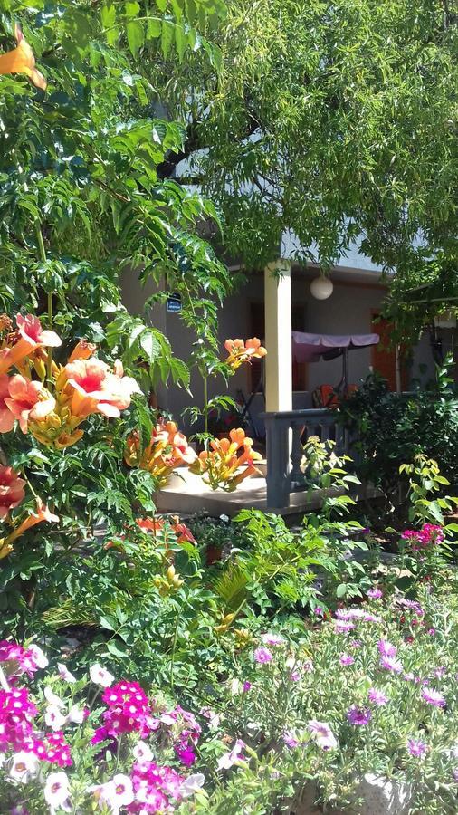 شقة Apartman Bojana ستاريغغاد باكلينتسا المظهر الخارجي الصورة
